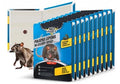 10x Duży Lep na szczury, myszy, gryzonie pułapka z klejem No Pest 40x25cm.