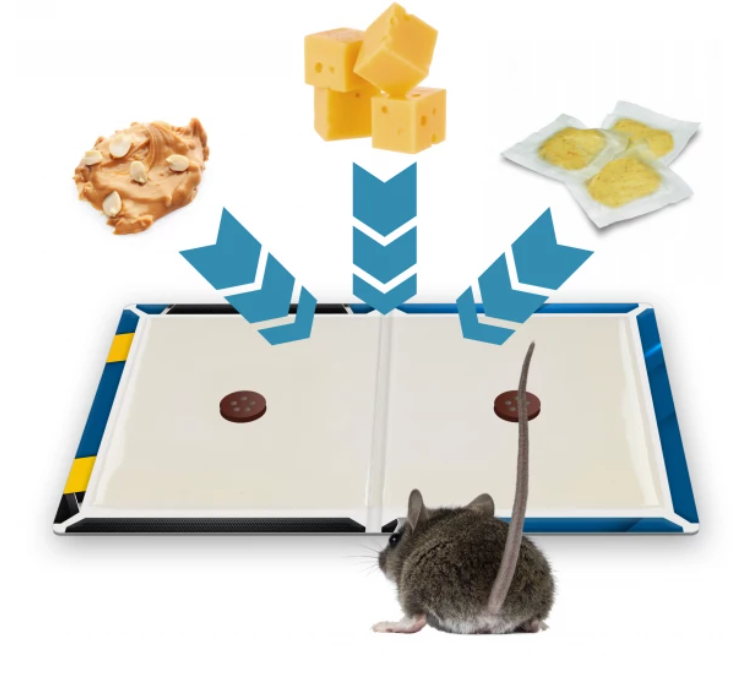 Grote lijmval voor ratten, muizen en knaagdieren 40 × 25 cm No Pest